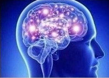 ks3brain