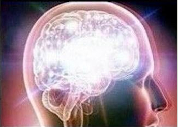ks4brain