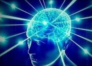 ks5brain